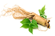 Symbol Extrakt z ženšenu